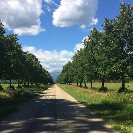 Monica & Rocco's House Apartment